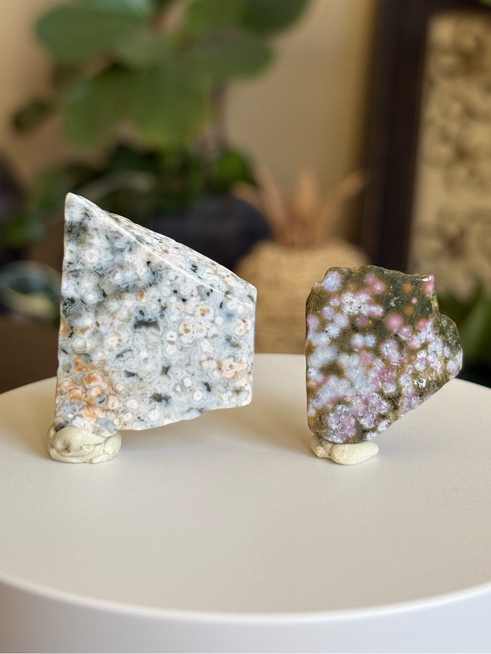 Ocean Jasper Crystal Set - Polished Sea Jasper Bundle - Orbicular Jasper